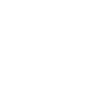 Windows icon